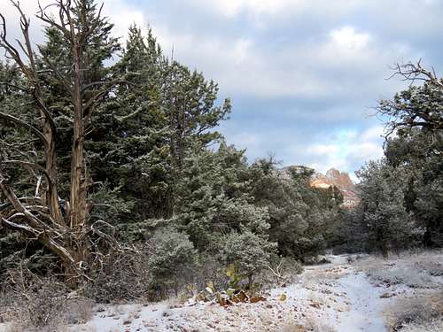 Girdner Trail in Dry Creek Canyon