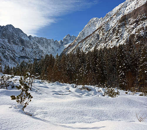 In Planica valley