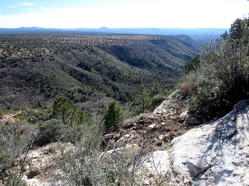 Jacks Canyon from the slopes of Munds Mountain