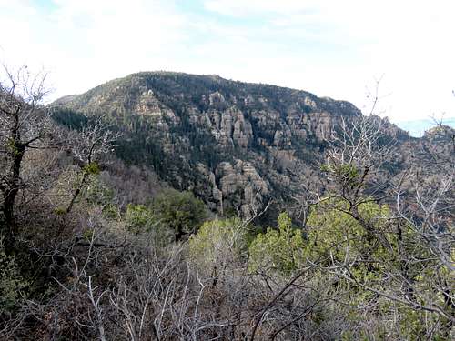 Munds Mountain from upper trail