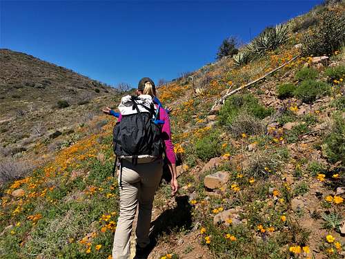 Hiking up the Bronco Creek Trail, with flowers abound
