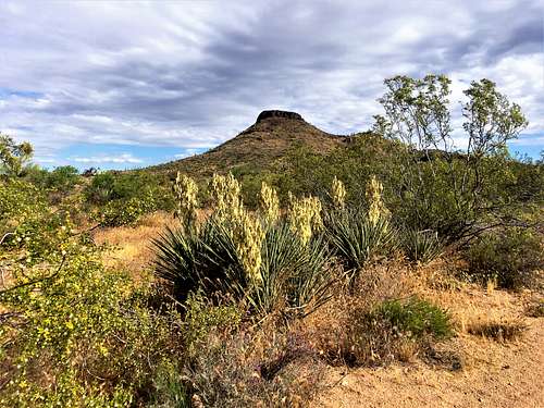 Mesa top from the south