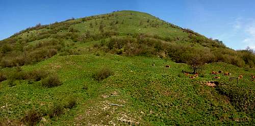 Panoramic view of the slope leading to Alpesisa