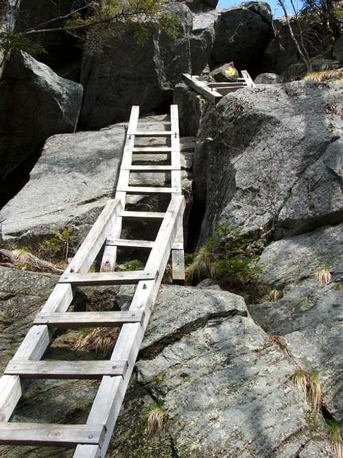 The ladder going up Mt....