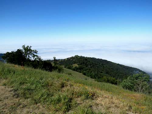From the top of Prewitt Ridge