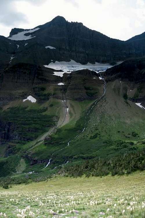 Vertical panoramic view of...