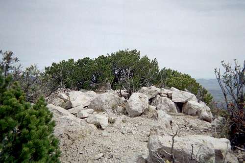 The summit of Bassett Peak.