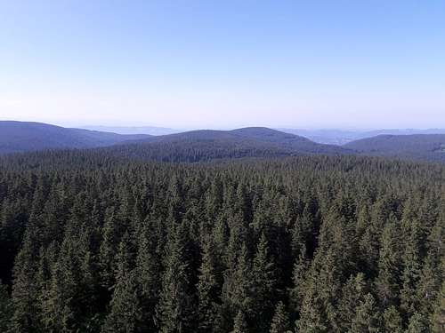 The endless forest of Pohorje