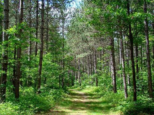 Pine Run Trail