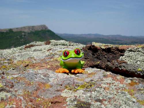 Jacko the Frog on the summit...