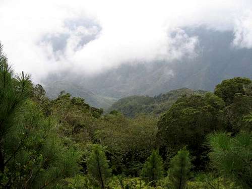 Cloud forests in Che...