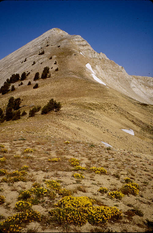Blackman Peak - Southeast Ridge