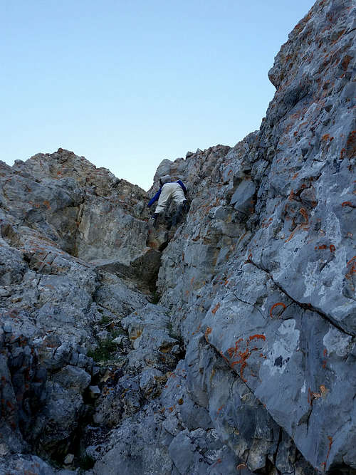 Northwest Ridge, Mt Borah