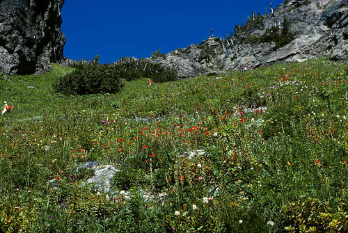 Switchbacking to Stujack Pass amid alpine beauty