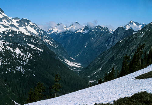 Ruth Creek valley (the approach), looking toward Tomyhoi (C) and Larrabee (R)