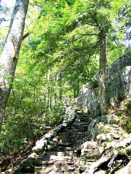 Stone stairs placed in the...