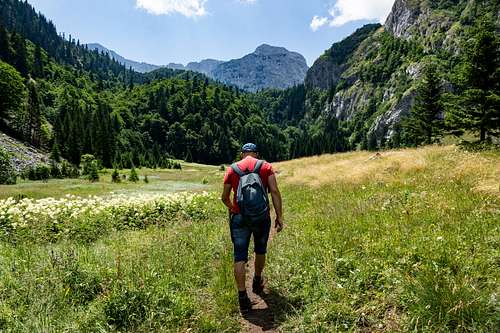Hiker goes through out the valey of Suha Jezerina-NP Sutjeska