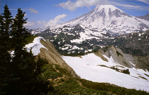 Mt. Rainier from Tatoosh Peak