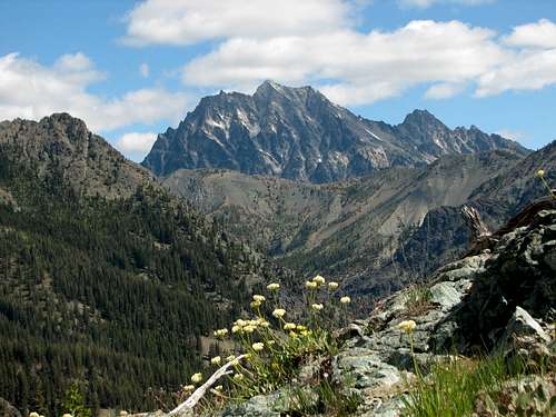 Summit view - looking over Longs Pass to Mt. Stuart