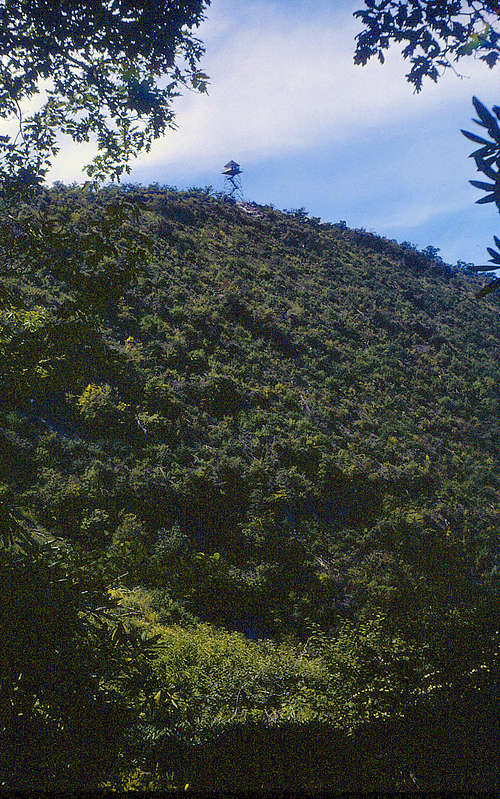 Approaching Albert Mountain on the Appalachian Trail