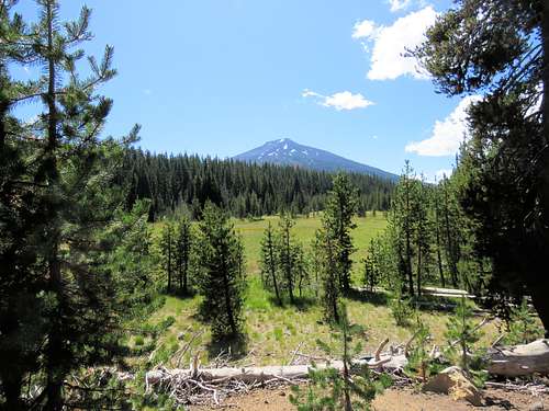 Mt. Bachelor from Todd Lake Trailhead