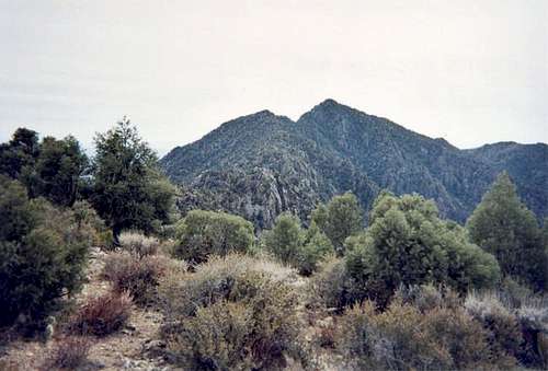 A view of Kingston Peak.