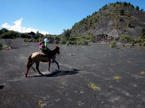 Horse ride to the base of Paricutín