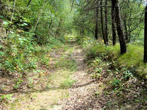 Saddle Mound Trail