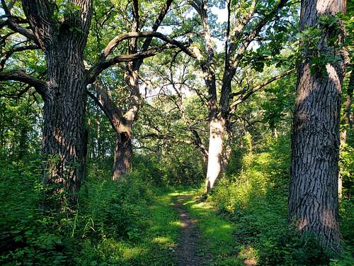 Ice Age Trail, Kettle Moraine South