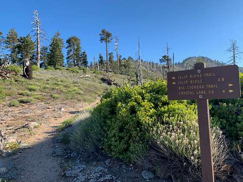 Islip Ridge Trail Sign on Mt Islip Hike