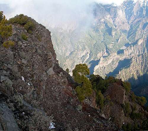 Summit view Pico Bejenado:...