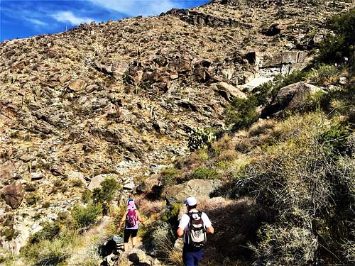 Descending the rocky section of the Harquahala Mountain Trail