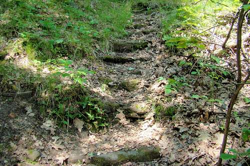 Rock Stairs at Far End of Trail Loop