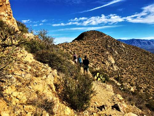 At a saddle with the last stretch of Wasson Peak in view