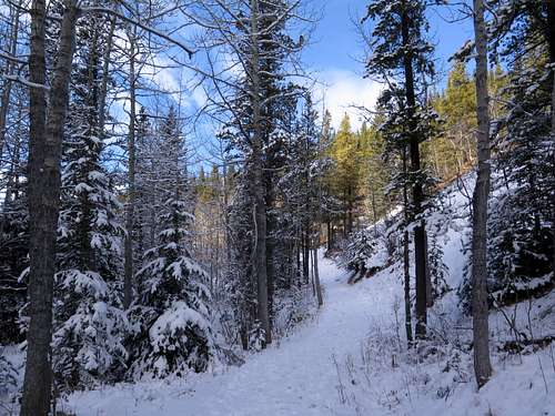Prairie Creek trail