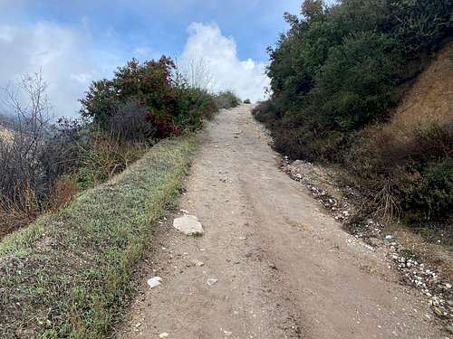 Trail up to Potato Mountain