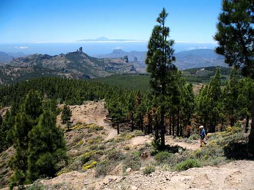View of Roque Nublo and Mt Teide
