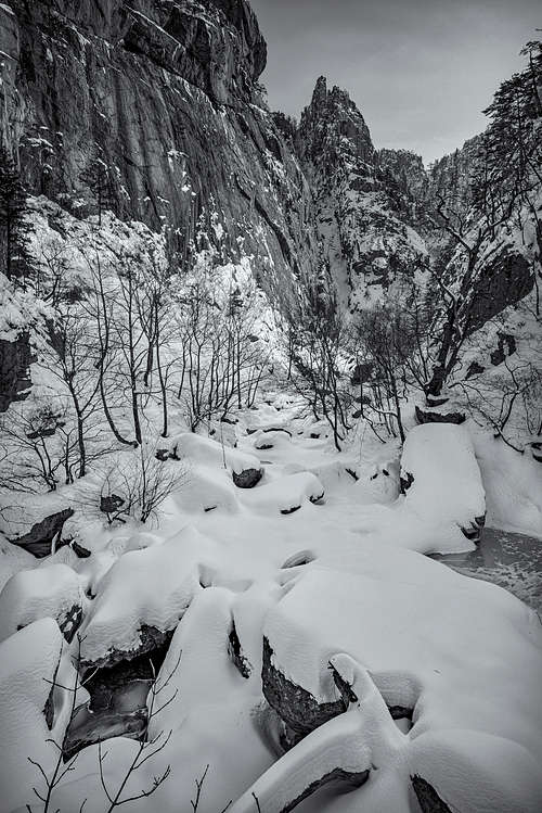 Shapes of new Snow in Seoraksan National Park