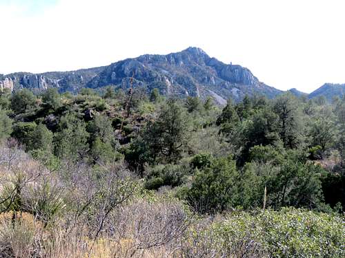 Emory Peak & South Rim