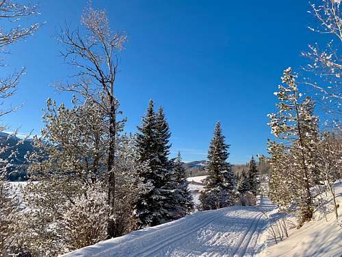 Moose Loop at West Bragg Creek