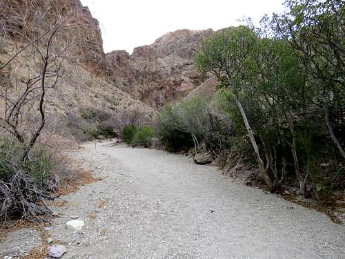 On Lower Burro Mesa Trail