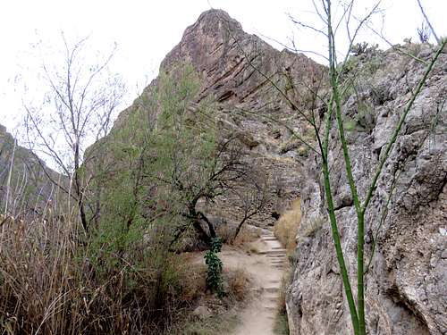 switchbacks up at the mouth of the canyon