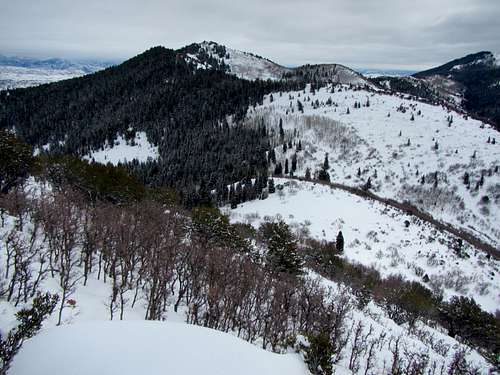 view of saddle & Summit Park Peak
