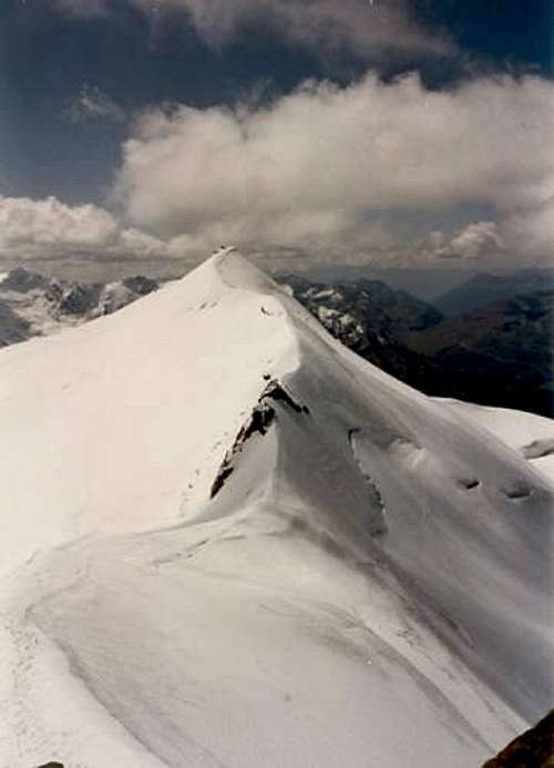 Cevedale and Summit ridge...