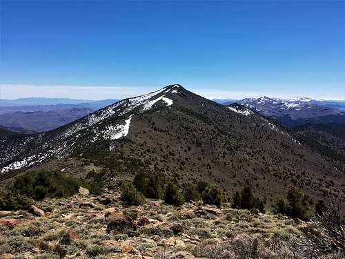View of Lyon Peak from North Lyon Peak (Peak 8,651')