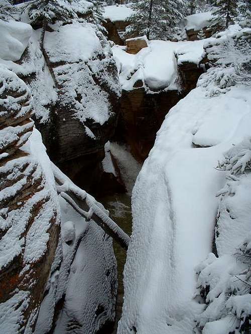 the small ravine from the...