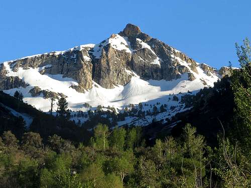 Fitzgerald Peak from Thomas Canyon Campground