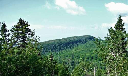 Leveaux Mountain from Oberg Mountain