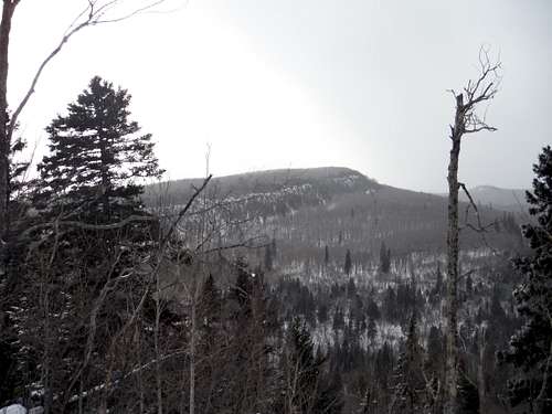 Leveaux Mountain - Winter