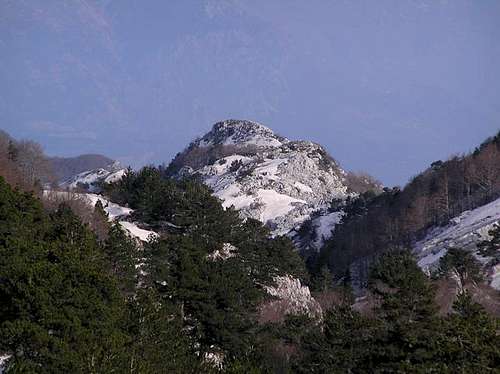 Borova glava (1561m), summit...